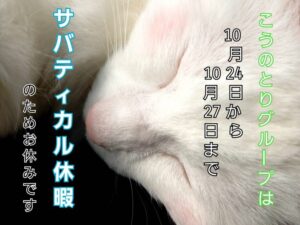 サバティカル休暇のお知らせ