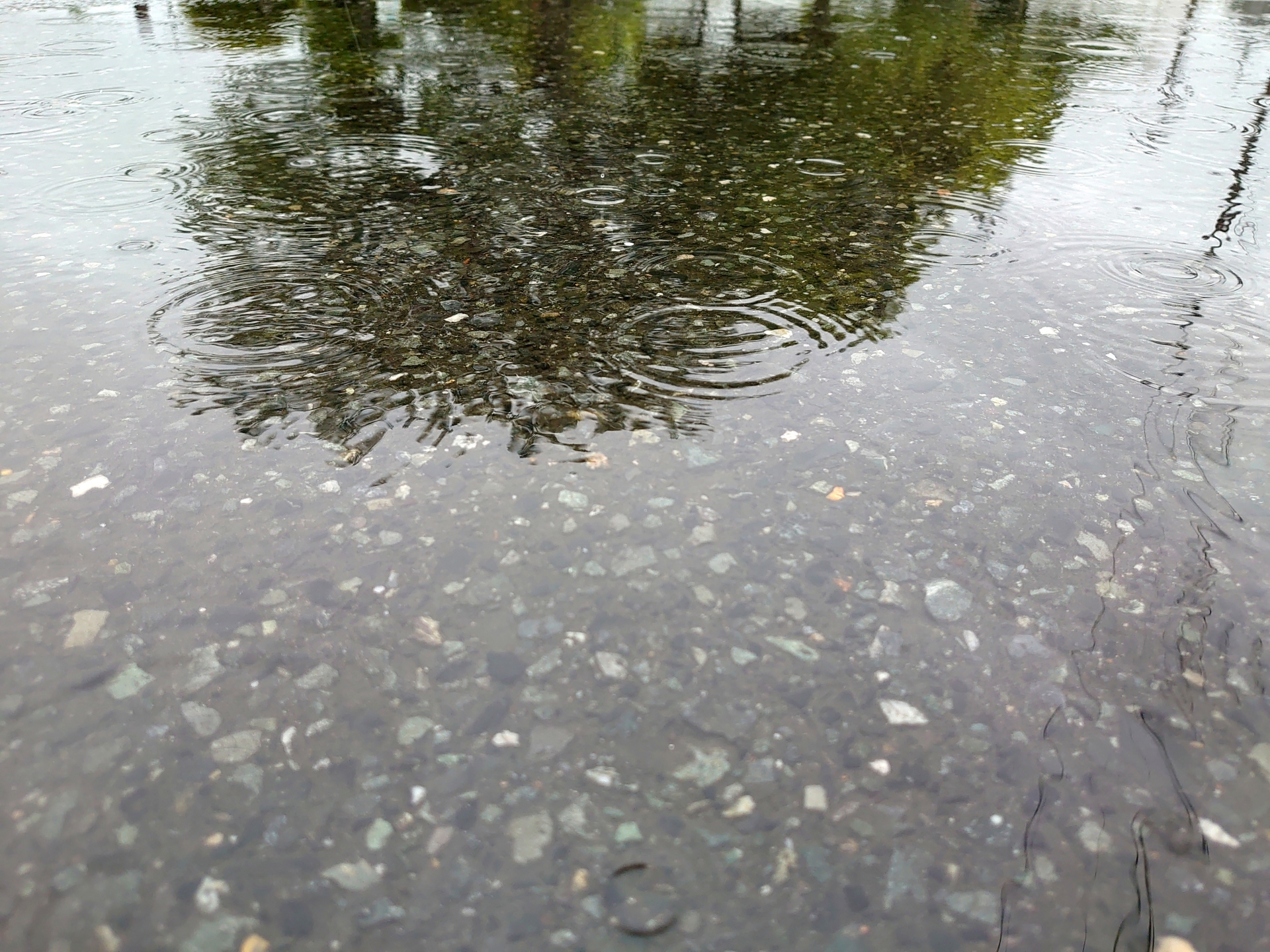 雨